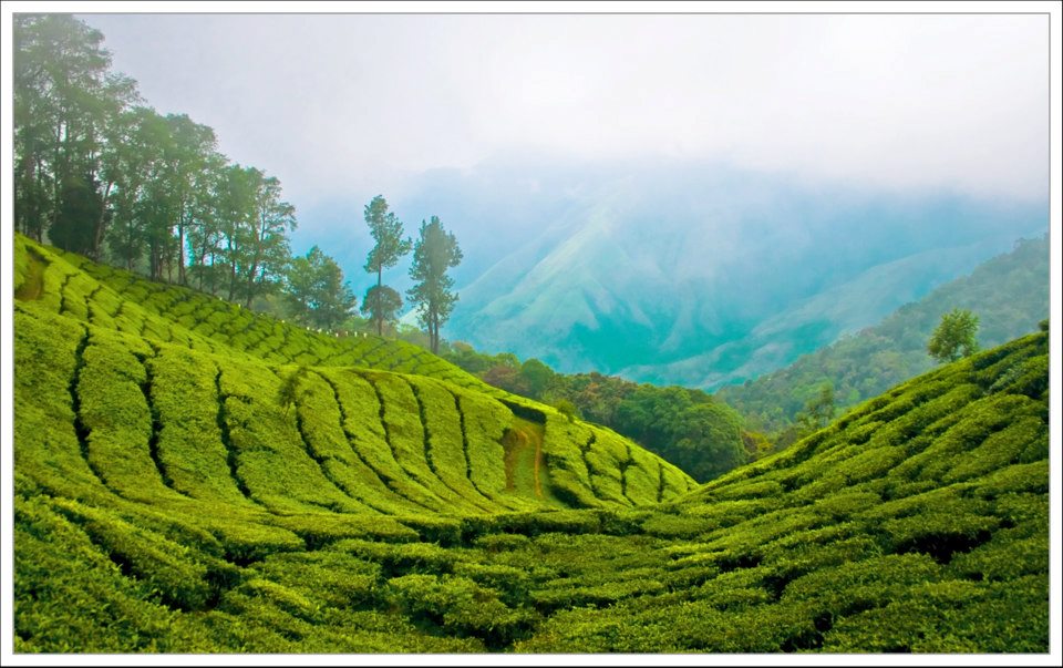 ഖുര്‍ആനും സമൂഹവും